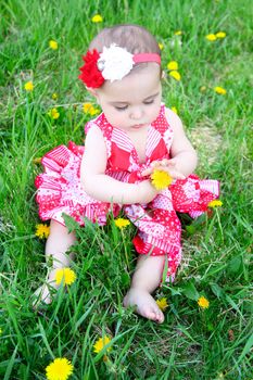 Brunette baby girl sitting in a field with dandelions