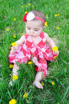 Brunette baby girl sitting in a field with dandelions