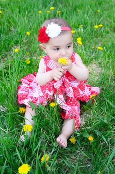 Brunette baby sitting in a field with dandelions