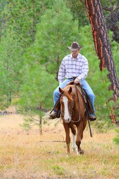 Young cowboy riding his horse in the field 