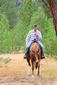 Young cowboy riding his horse in the field 