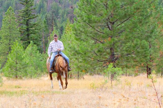 Young cowboy riding his horse in the field 