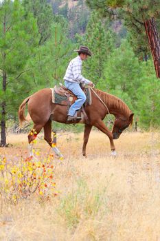 Young cowboy riding his horse in the field 