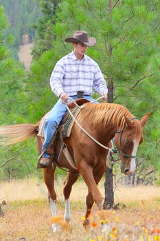 Young cowboy riding his horse in the field 