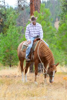 Young cowboy riding his horse in the field 