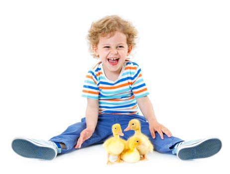 Happy little boy with cute ducklings isolated on white background