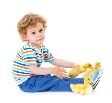Happy little boy with cute ducklings isolated on white background