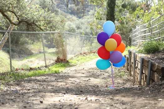 Birthday Balloons Outdoors at a Celebration with Copy Space