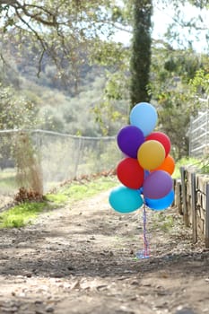 Birthday Balloons Outdoors at a Celebration with Copy Space