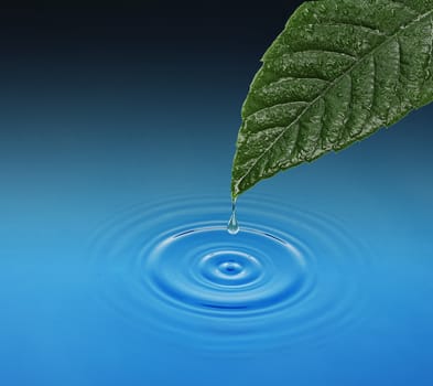 Green leaf with water drop falling. Blue waves