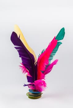 Colorful Feathers