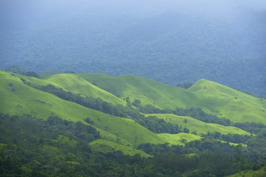 Green spring nature flourishing towards mountain top