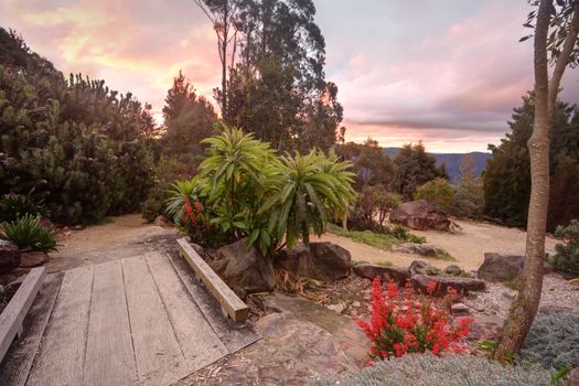 Nature path meandering through the beautiful and tranquil Blue Mountains, NSW Australia at sunset