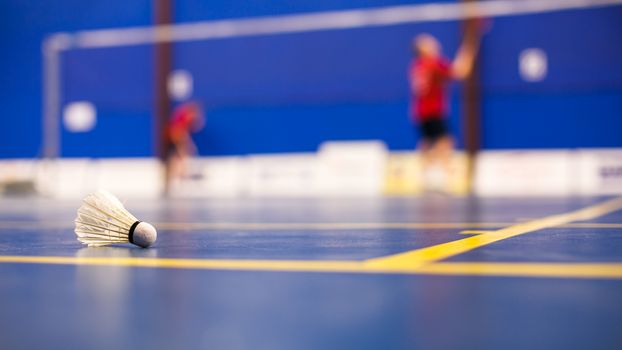 Badminton - badminton courts with two shuttlecocks (shallow DOF; color toned image)