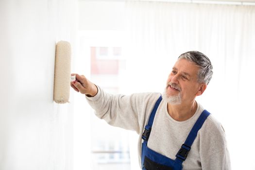 Senior man painting a wall in with paint roller, smiling, enjoying the work