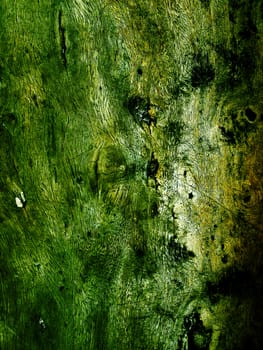 Abstract Old Wood Background 