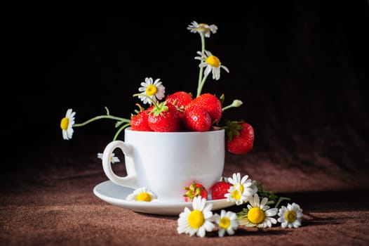 chamomiles and strawberries in white coffee cup, in rays of sunlight, on dark brown background