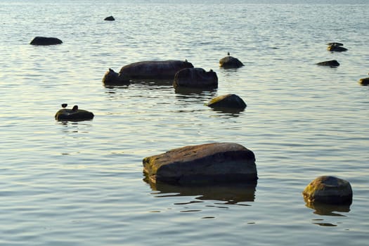 Sea stones and patches of light on water