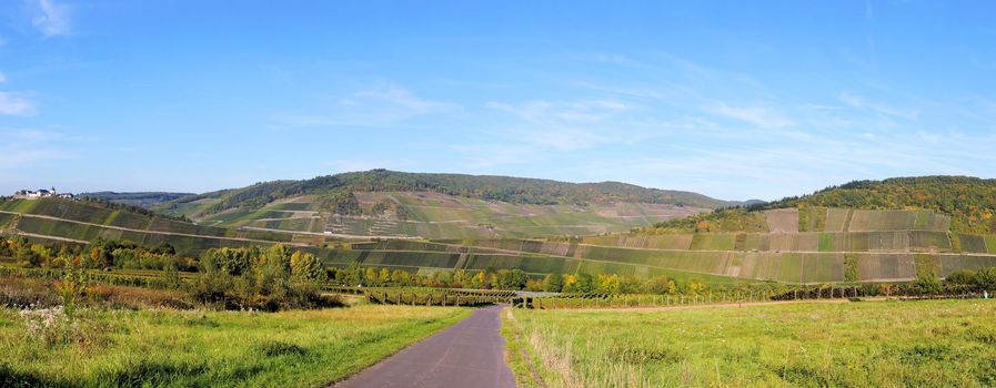 Weinlandschaft bei Pünderich an der Mosel Panorama