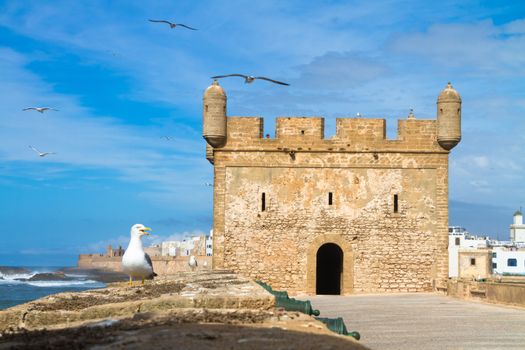 Port fort in Essaouira, city in the western Morocco on the Atlantic coast. It has also been known by its Portuguese name of Mogador. Morocco north Africa.