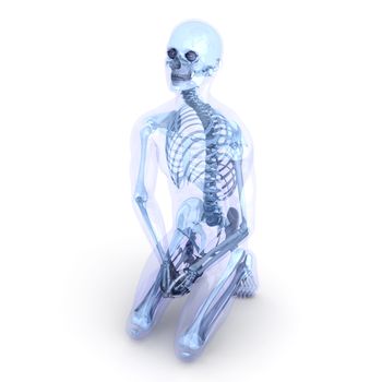 A male, human, translucent Body. Anatomy visualization. 3D rendered Illustration. Isolated on white.
