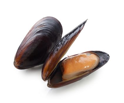 Isolated two mussels in the shell on the white
