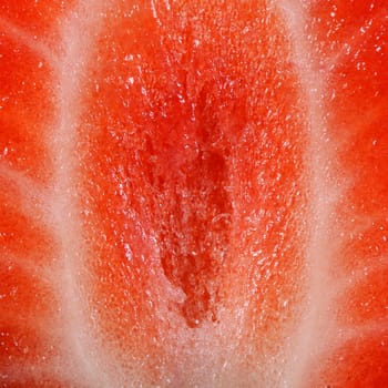 The half fresh strawberry as a background