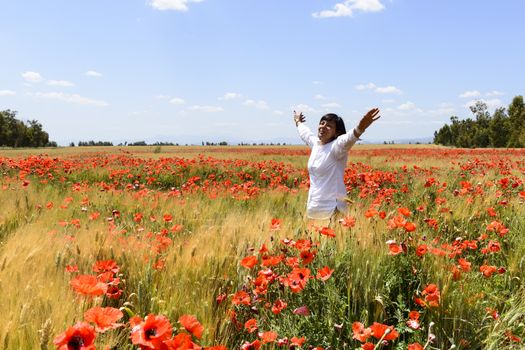 Meadow with poppies on roadside.