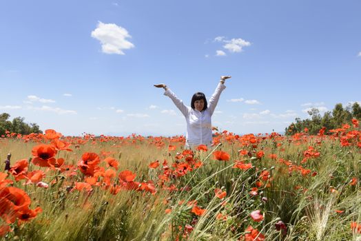 Meadow with poppies on roadside.