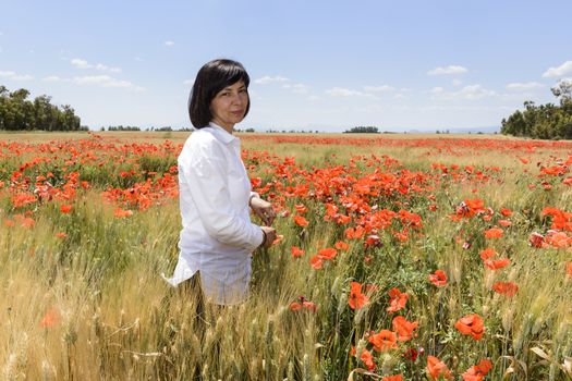 Meadow with poppies on roadside.