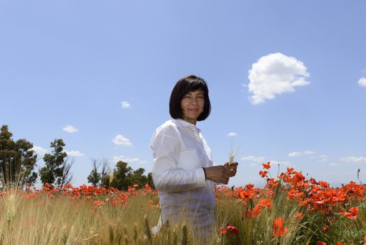 Meadow with poppies on roadside.