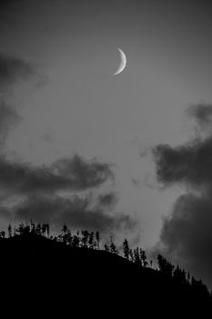 Black and white vision of the moon