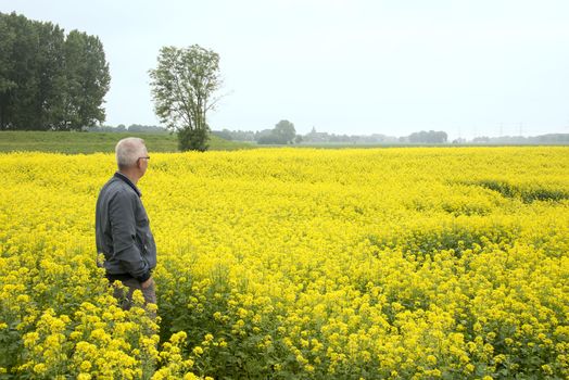 man stading in the middel of rapeseed flower field