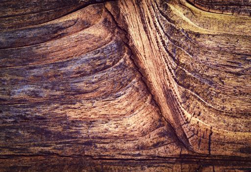 background or texture old branch brown wood