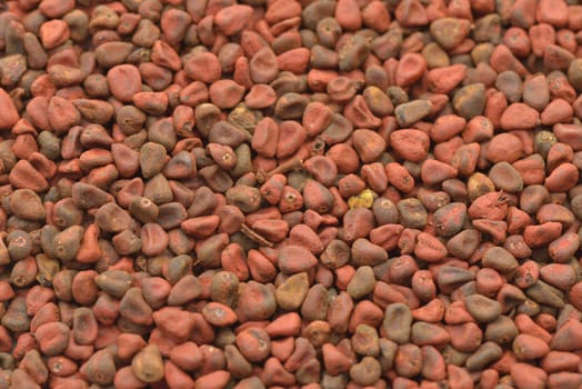 Close-up anetto seeds