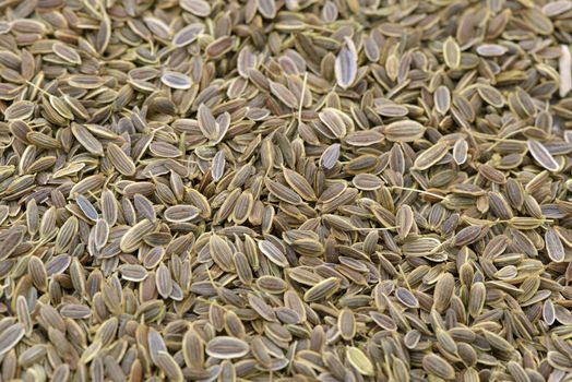 Close-up of dill seed