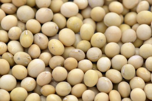 Close-up of soy beans