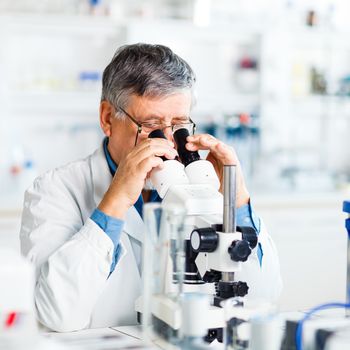 senior male researcher carrying out scientific research in a lab using a microscope (shallow DOF; color toned image)