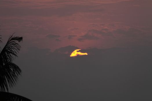 the setting sun is masked by clouds with a small part showing through while a couple of silhoutted coconut tree leaves are seen in the foreground of this dramatic tropical sunset.