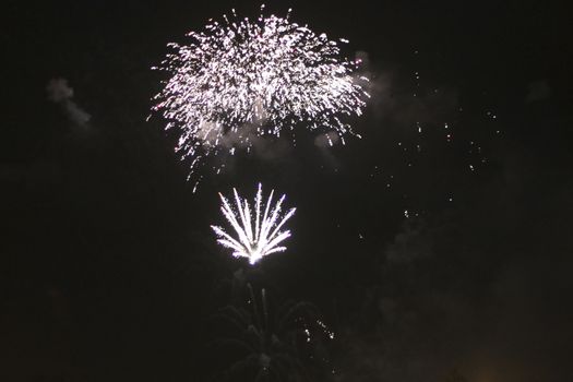 Colorful firework in the black night sky