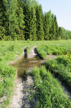 Dirt road along the edge of the woods with a big puddle