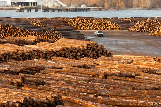 Timber Wood Log Lumber Processing Plant Riverside Columbia River
