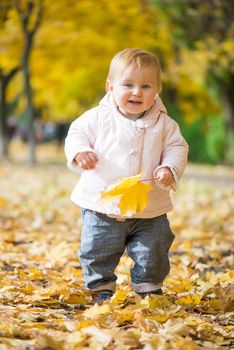 little baby in the park with golden autumn leaves