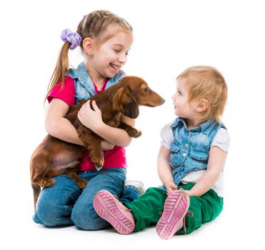children playing with a red dachshund on white background