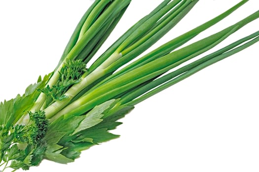 Leaves of parsley, green onions and ����������. Are presented on a white background.