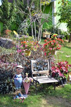 wooden chair in the garden at sunny day 