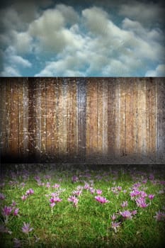 abstract distressed garden backdrop with green meadow full of crocusses