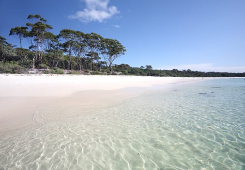Beautiful Green Patch beach with its white sands and clear waters.   Jervis Bay Australia