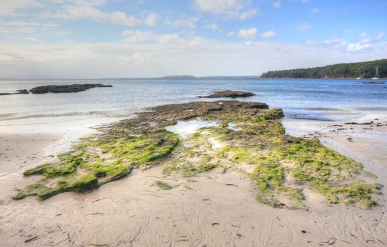 Bright green moss covered rocks and rock pools at the shoreline  Focus to foreground.  The boats are not in focus.