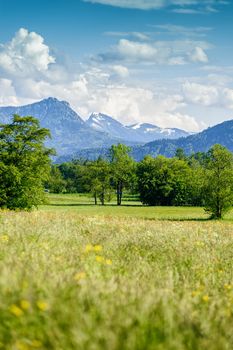 Summer landscape in salzkammergut, a part of austria